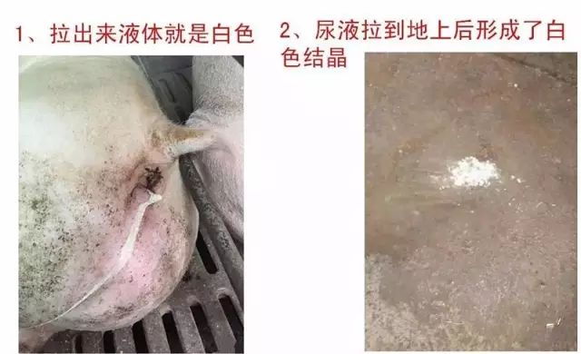 微信图片_2025-05-01_200357_972.jpg